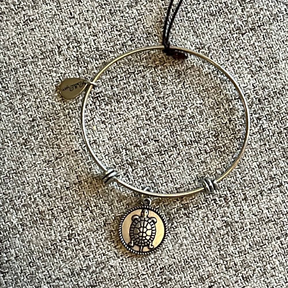 Bella Ryann Antique Metal Turtle Charm Bracelet